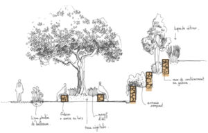 Projets urbains TRAMES - ZAC Cambrai