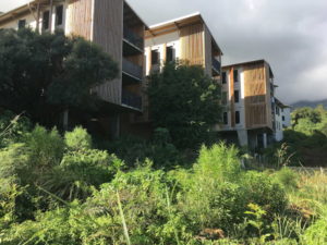 Projets urbains et Espaces publics TRAMES - ZAC Roche Café
